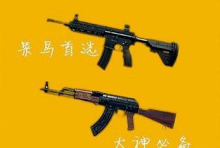 國外大神體驗(yàn)國產(chǎn)步槍視頻,國外大神親身體驗(yàn)，揭秘國產(chǎn)利器魅力