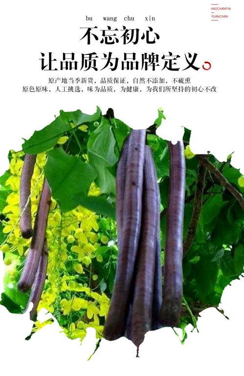 國產(chǎn)植物香腸視頻網(wǎng),綠色健康美食新潮流