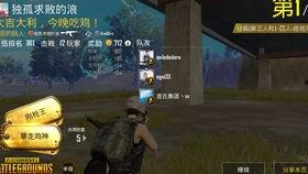 老外玩國(guó)產(chǎn)古代吃雞視頻