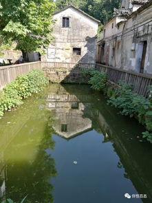 桃花塢視頻國(guó)產(chǎn),國(guó)產(chǎn)生態(tài)下的創(chuàng)新與突破